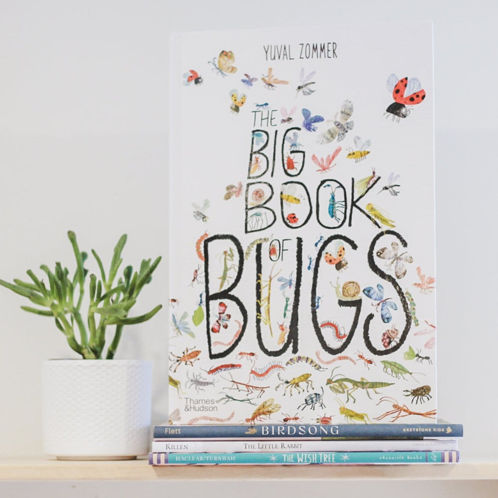 White wall with a wood shelf, a potted succulent and a stack of books with The Big Book of Bugs by Yuval Zommer. Cover is white with various colourful drawings of bugs.