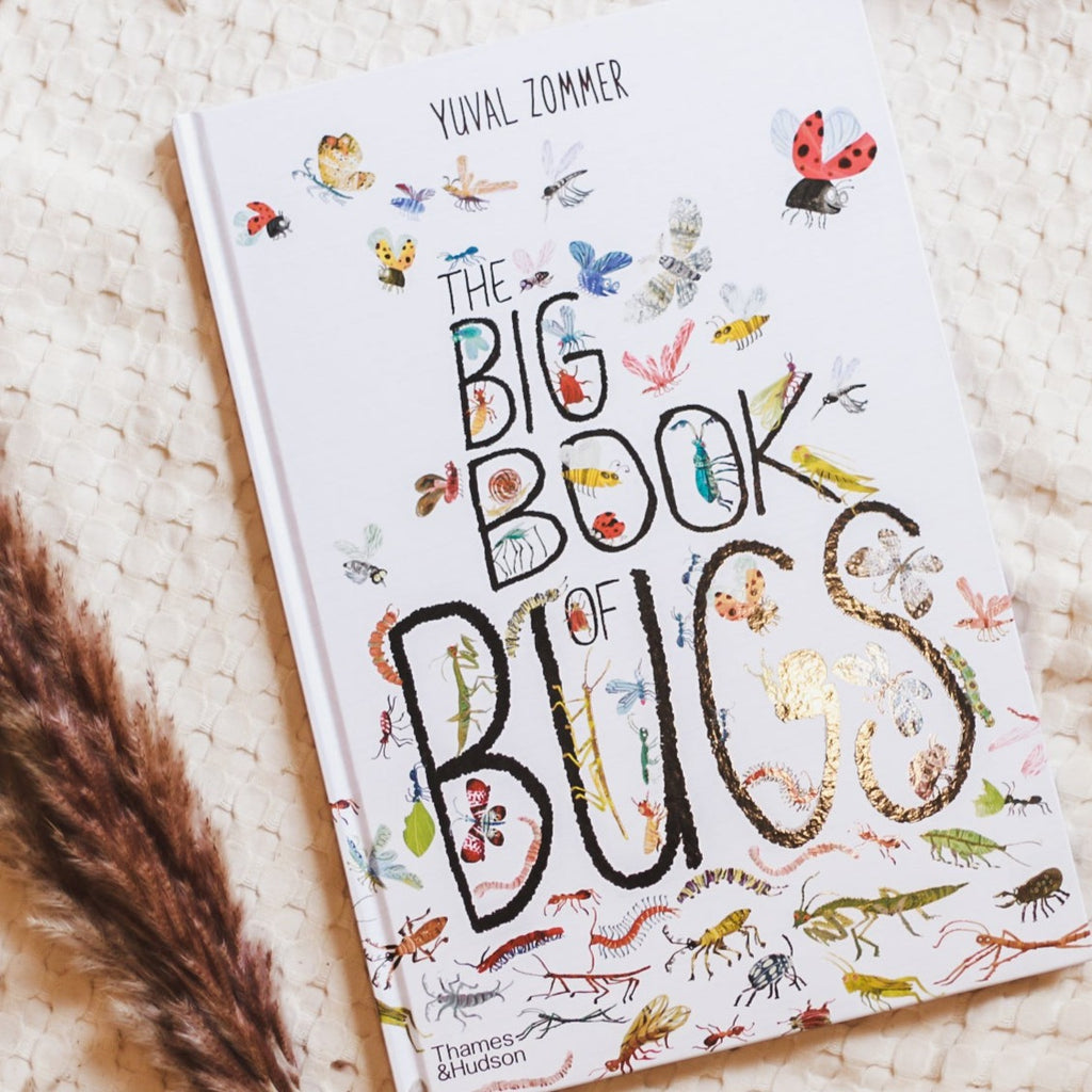 Cream waffle throw background with pampas grass in the bottom left corner, and the book The Big Book of Bugs by Yuval Zommer. Cover is white with various drawings of colourful bugs all over.