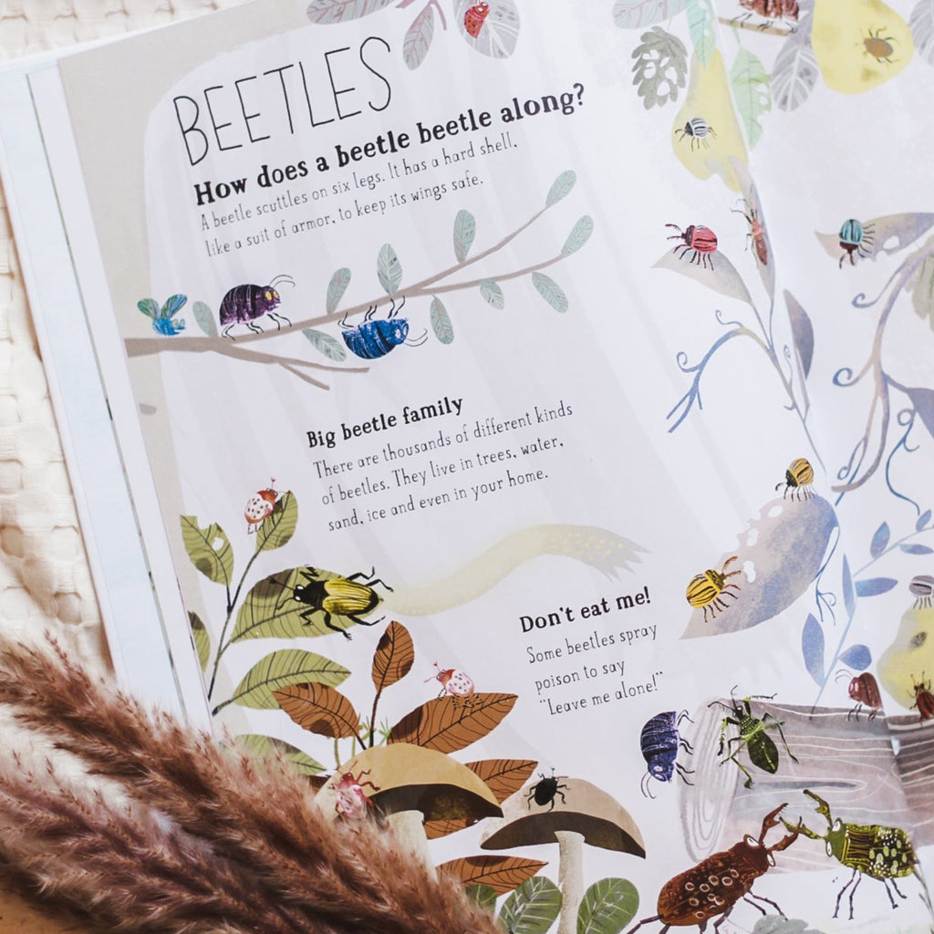 Overhead view of a page from The Big Book of Bugs by Yuval Zommer. Page says "Beetles: How does a beetle beetle along?" and has beetles all over.