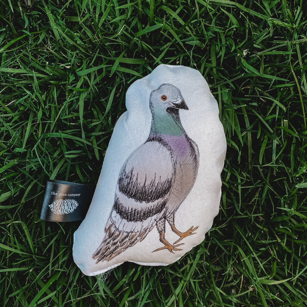 Overhead view of the Acorn Collection Rattle in Pigeon by The Pine Company, laying in grass.
