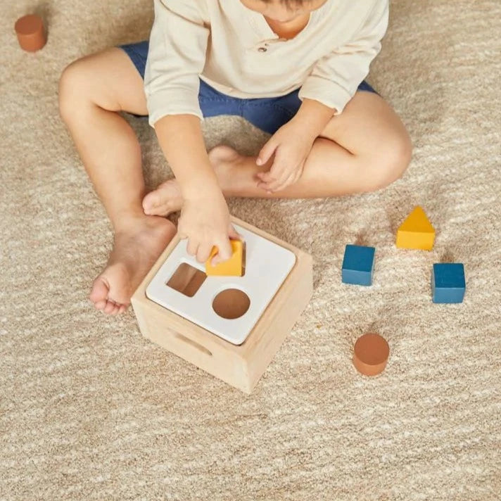 Overhead view of a little boy sitting on a cream carpet, playing with the Shape & Sort It Out by PlanToys.
