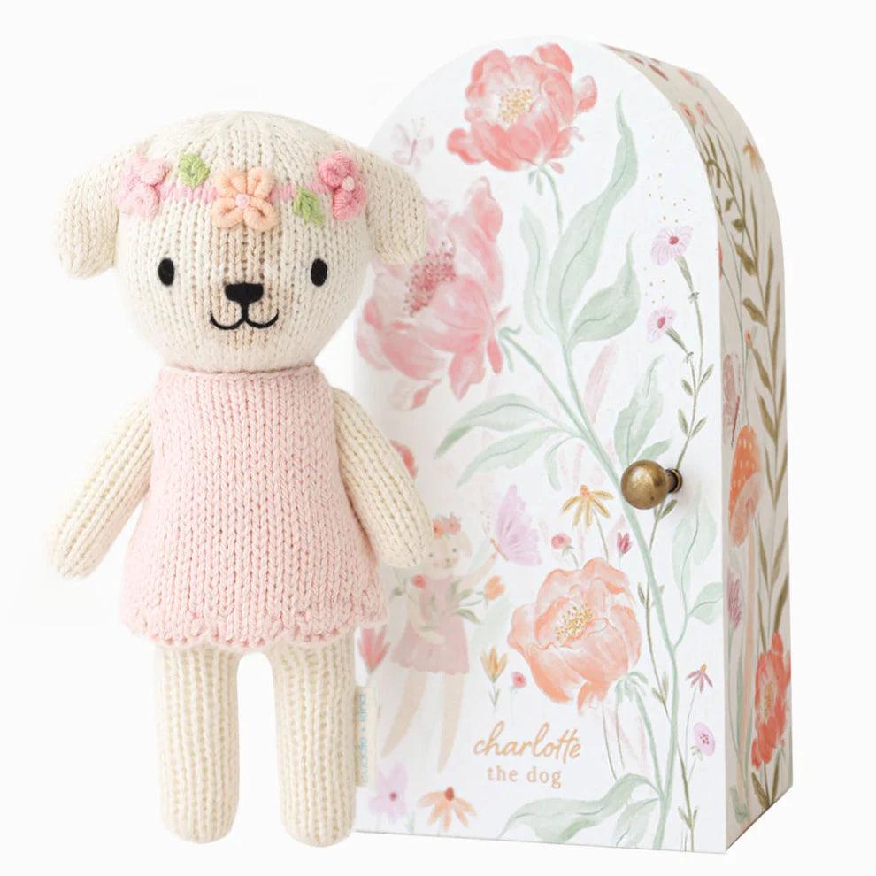 tiny lamb and case on white background 