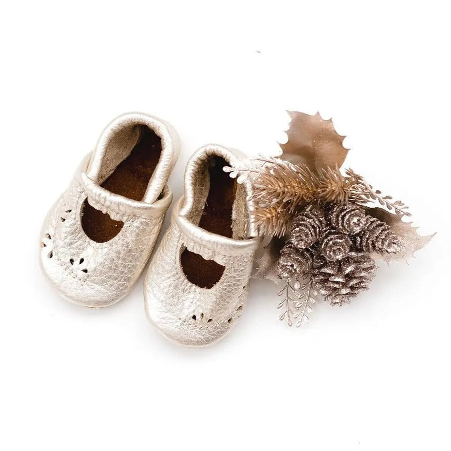 Overhead view with a white background, and glittery pinecones with the Platinum Ivy Janes by Starry Knight Design. Shoes are a silver colour.,