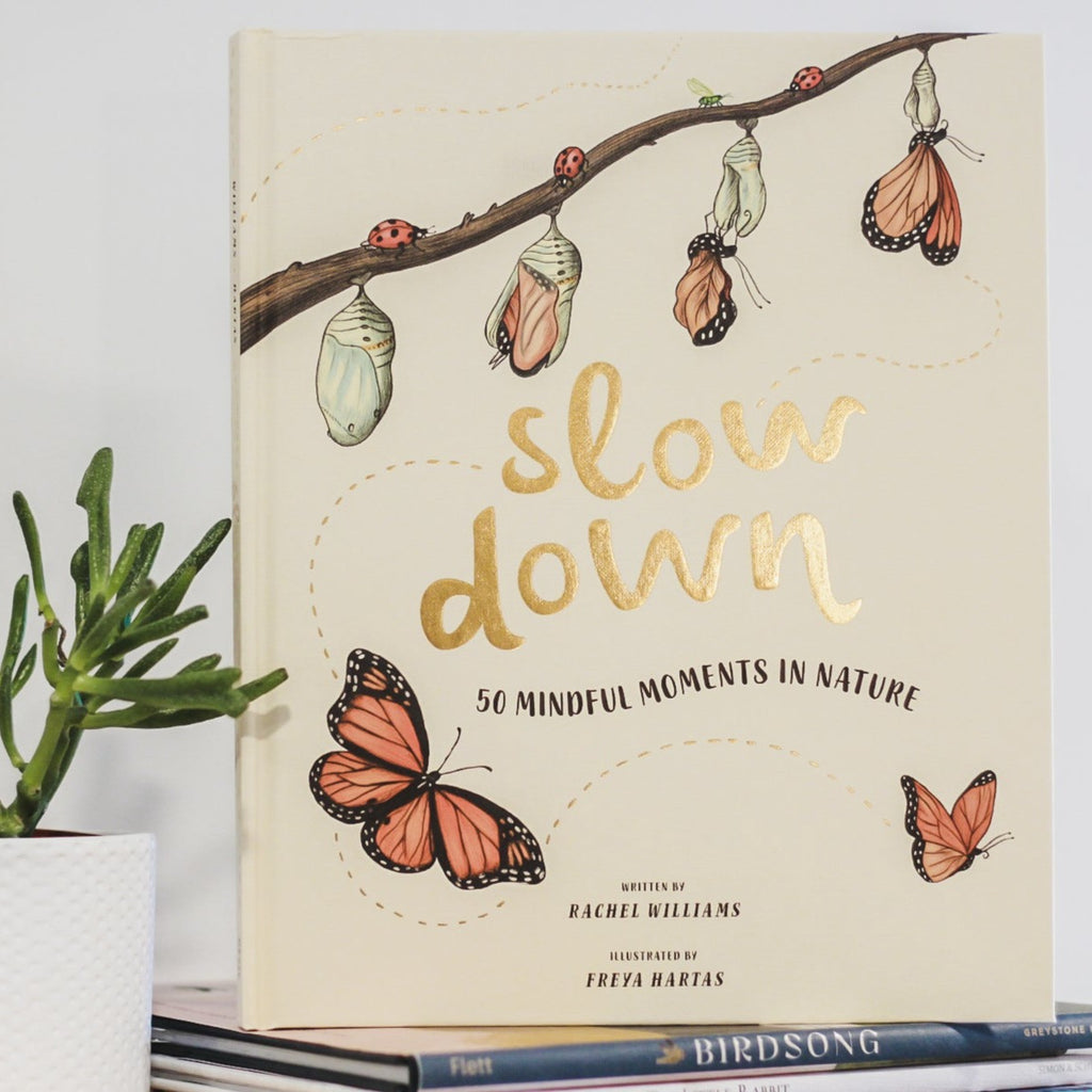 White wall with a wood shelf, a potted succulent, and a stack of books with the book Slow Down: 50 Mindful Moments In Nature by Rachel Williams on top. Cover is cream with the words "Slow Down" in gold embossed font, and drawings of the life cycle of a butterfly.