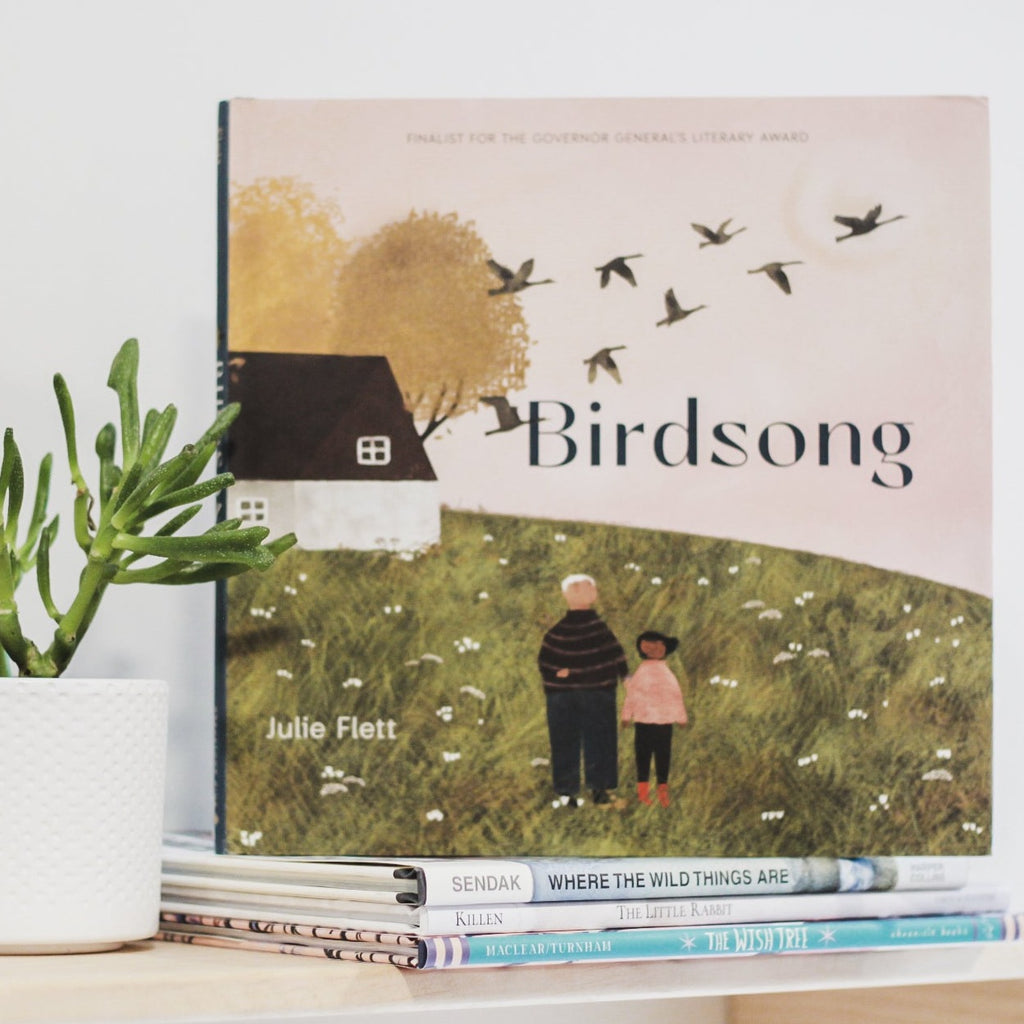 White wall with a shelf, a potted succulent, and a stack of books with the book Birdsong by Julie Fleet on top. Cover shows a pink sky, with birds flying, and green grass with a White House and a grandfather & girl standing.