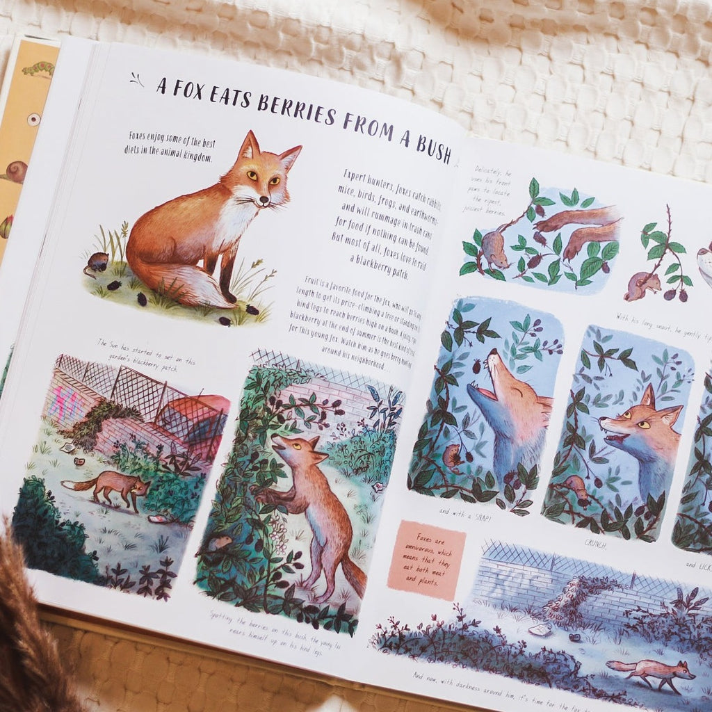 Overhead view of a page from the book Slow Down: 50 Mindful Moments In Nature by Rachel Williams. Page shows the text "A Fox Eats Berries From A Bush", and shows a fox eating berries.