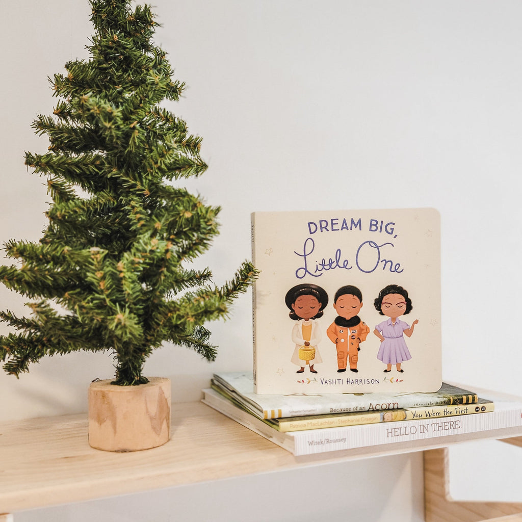 White background with a natural wood shelf, a small pine tree beside a stack of books with the book Dream Big, Little One by Vashti Harrison on top. Cover is beige with 3 women on it.