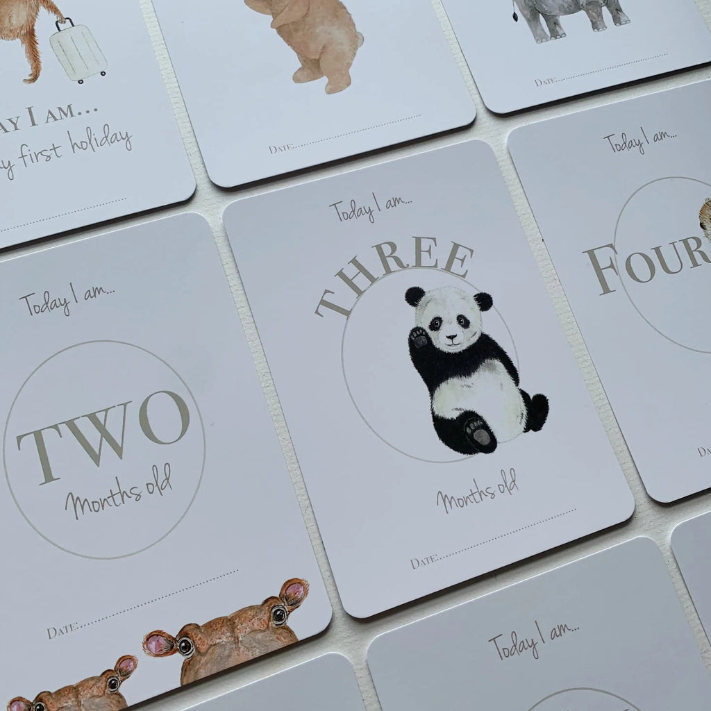 Close up overhead view of Milestone Card Set by Little Roglets. Shows various cards from the milestone set, in the middle is one that's white and says "Today I am... Three Months Old" with a panda in the middle. Each card features different animals.