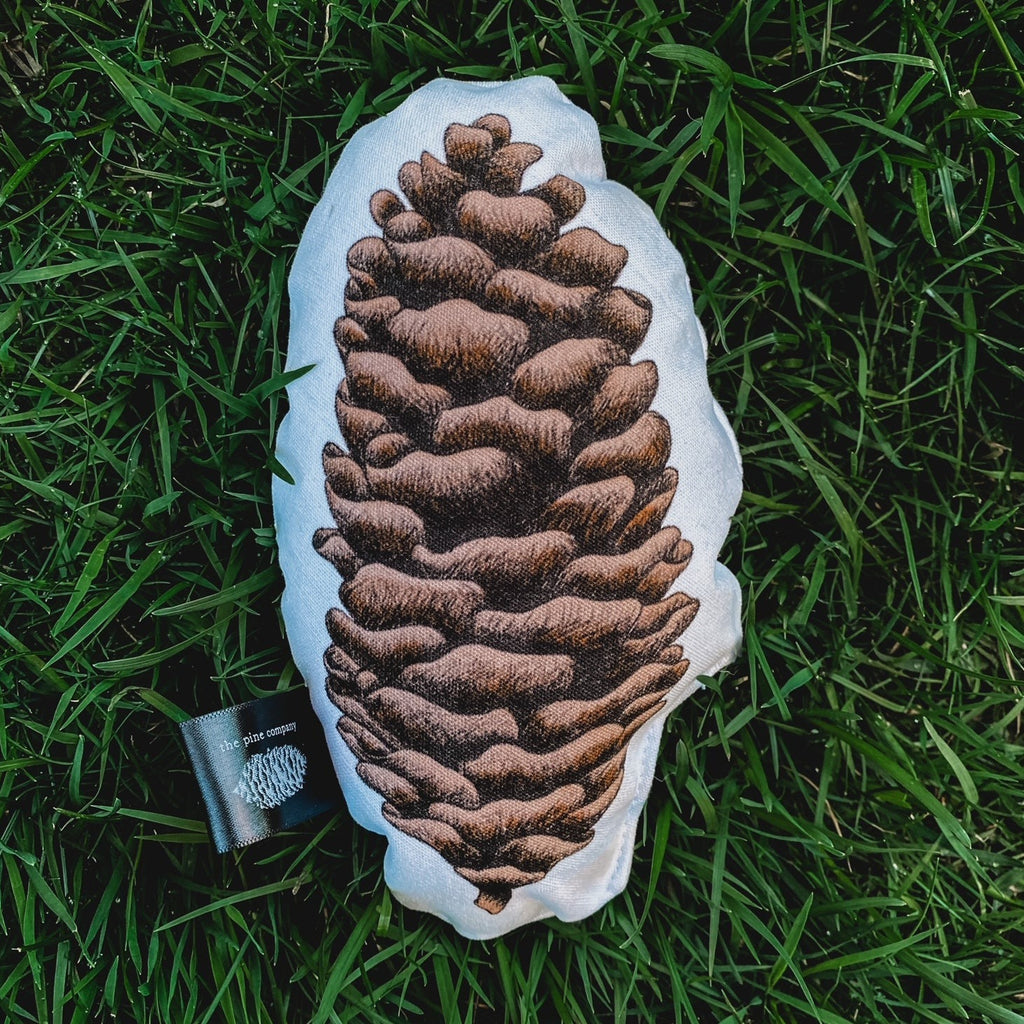 Overhead view of the Acorn Collection Rattle in Pinecone by The Pine Company, laying in grass.