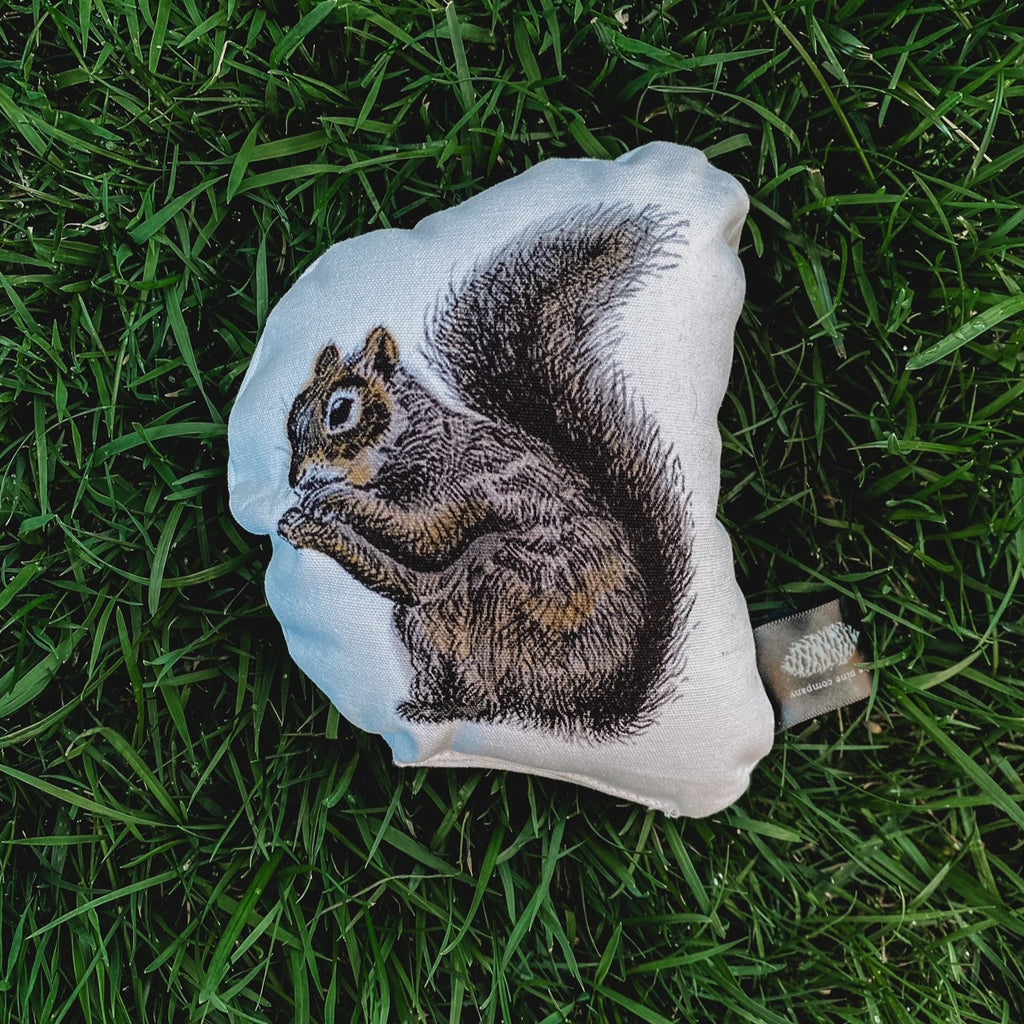 Overhead view of the Acorn Collection Rattle in Squirrel by The Pine Company, laying in grass.