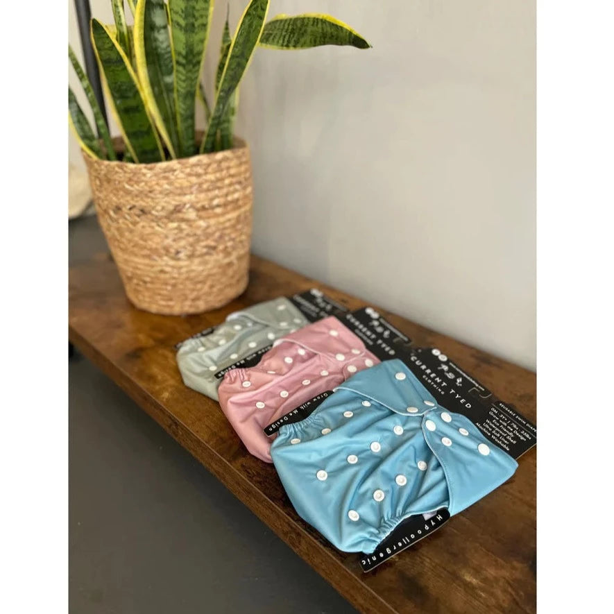 Reusable swim diapers in sage green, dusty rose and stone blue by Current Tyed on a wooden surface with a green plant in a wicker basket, in front of a grey wall. 