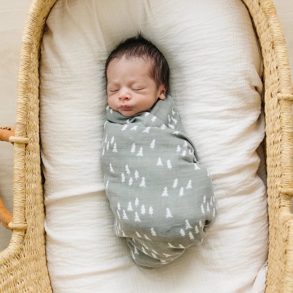 Overhead view of a newborn baby swaddled up in a rattan bassinet, in the Pines Muslin Swaddle by Mebie Baby.