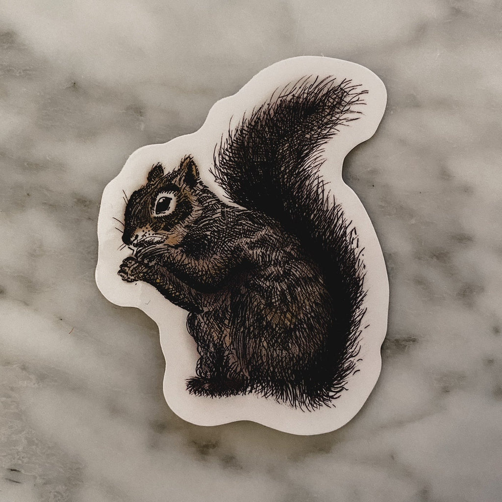 White marble background with the Sticker in Squirrel by the Pine Company. Sticker is a sketch of a squirrel.